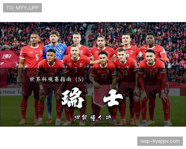 瑞士队世界杯前景预测出炉